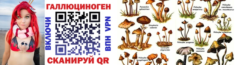 shop телеграм  Воткинск  Галлюциногенные грибы MAGIC MUSHROOMS  купить наркоту 