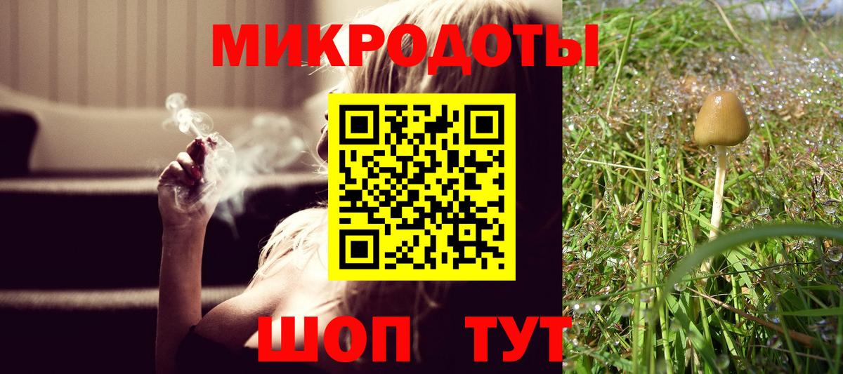 где купить   Воткинск  Галлюциногенные грибы мицелий 