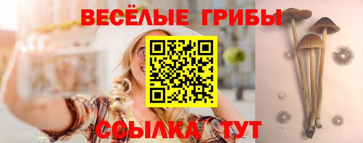 Воткинск  Псилоцибиновые грибы Psilocybe  Вход с VPN 