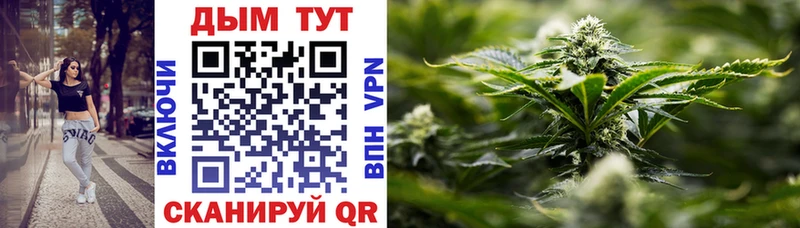 Бошки Шишки SATIVA & INDICA Воткинск
